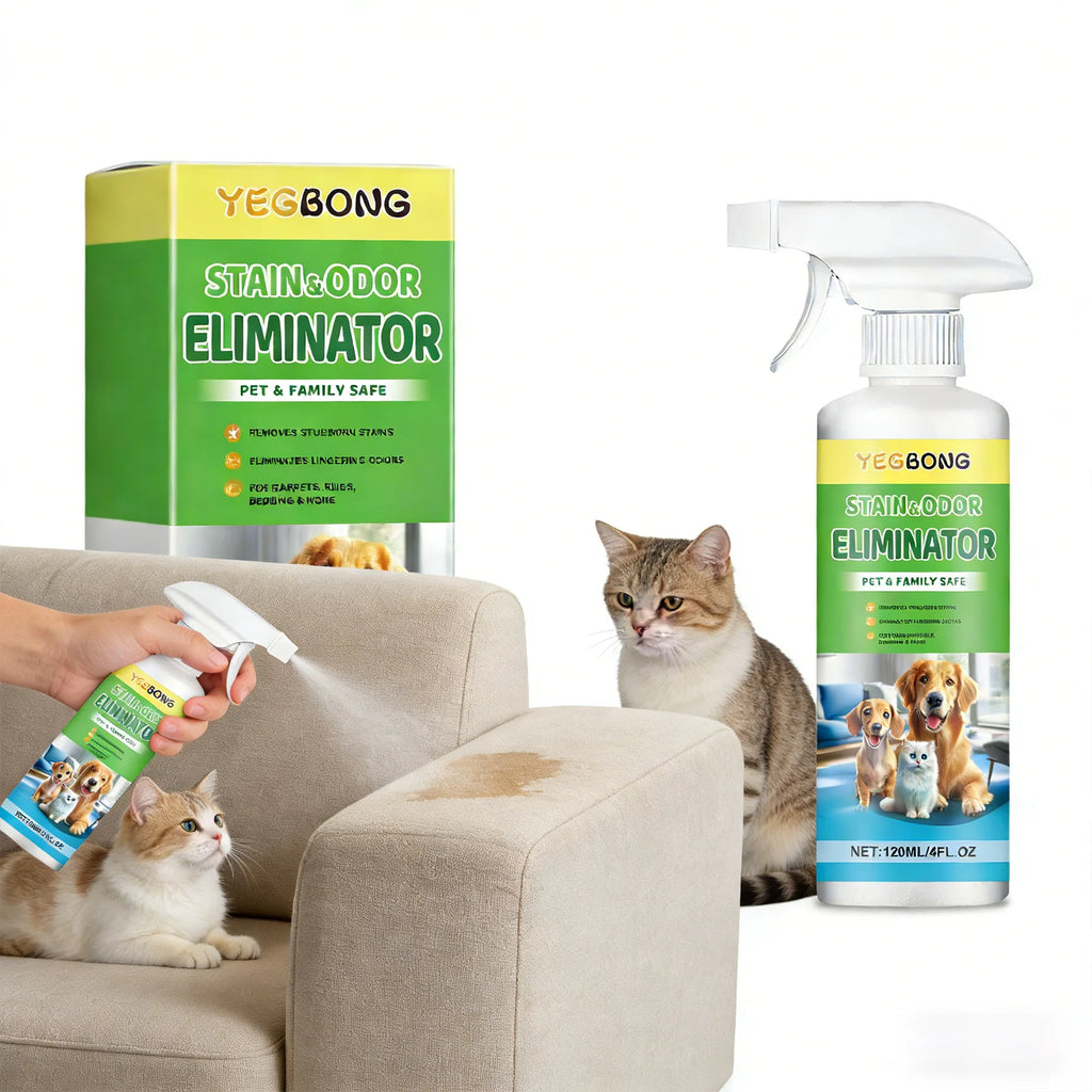 Pet Stain Remover Deep Cleaning Easily Dissolve Stubborn Urine Stains Eliminate Odor Restore Home Freshness Pet-Friendly Cleaner